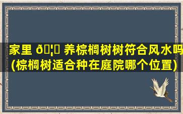 家里 🦅 养棕榈树树符合风水吗(棕榈树适合种在庭院哪个位置)